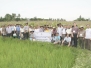 FX 2008