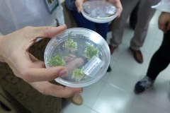 P1100251